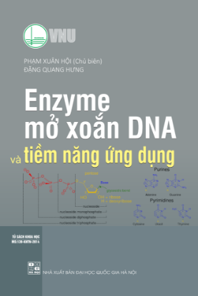Ảnh của Enzym mở xoắn ADN và tiềm năng ứng dụng