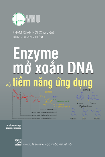 Ảnh của Enzym mở xoắn ADN và tiềm năng ứng dụng