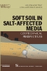 Ảnh của Soft soil in salt-affected media: Geotechnical perspectives