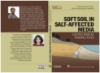 Ảnh của Soft soil in salt-affected media: Geotechnical perspectives